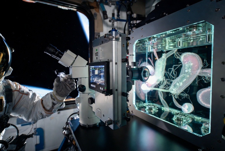 Учёные из Великобритании создали микроскоп для невесомости