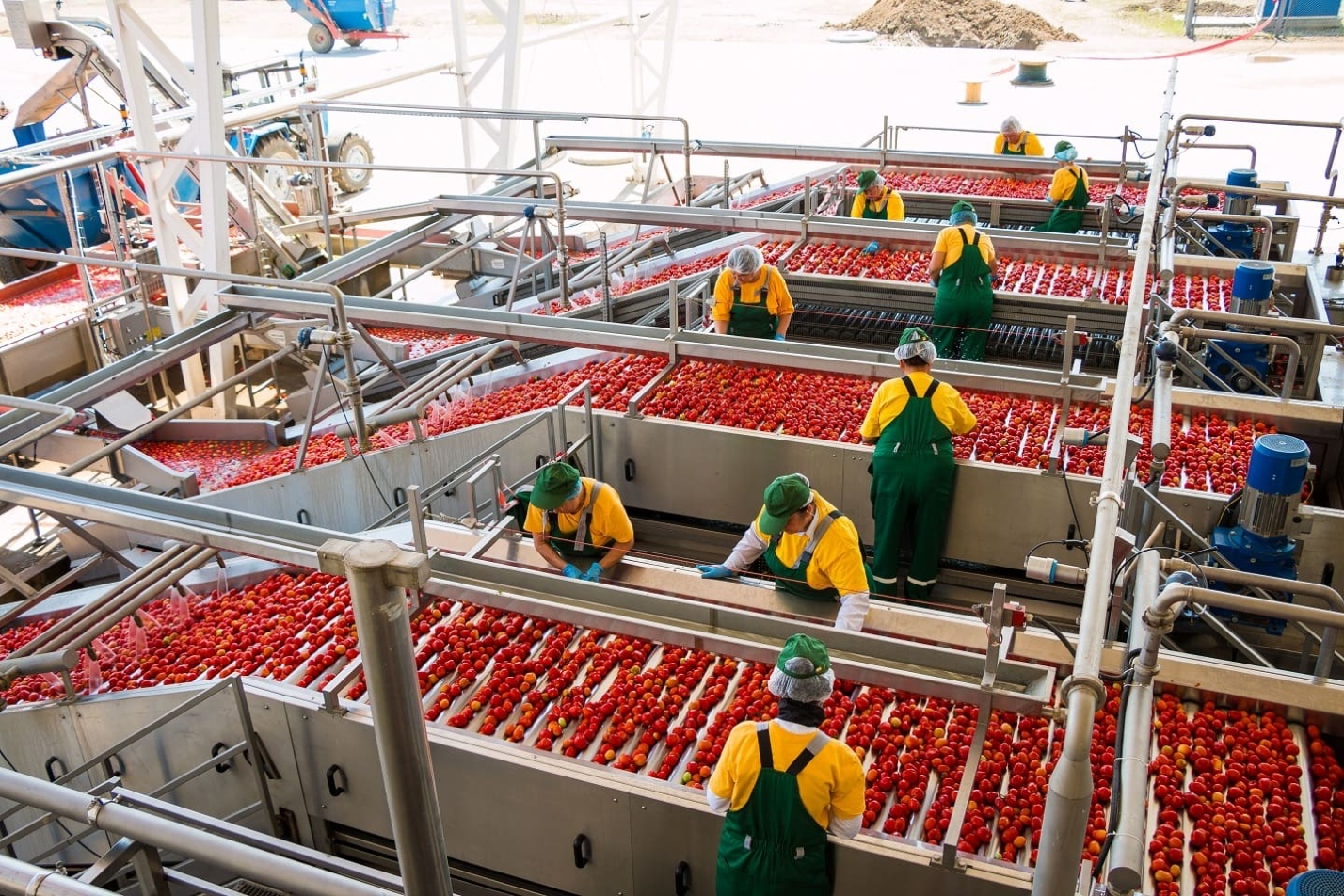 Аннушка уже разлила масло - 12 Аннушка уже разлила масло - 12