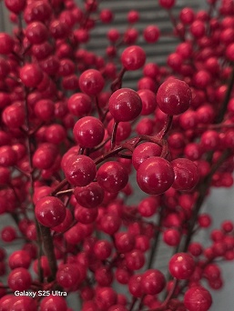 Только что представленный Samsung Galaxy S26 Ultra сравнили по камере с iPhone 17 Pro Max, Galaxy S25 Ultra и Vivo X300 Pro - 5 Только что представленный Samsung Galaxy S26 Ultra сравнили по камере с iPhone 17 Pro Max, Galaxy S25 Ultra и Vivo X300 Pro