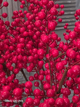 Только что представленный Samsung Galaxy S26 Ultra сравнили по камере с iPhone 17 Pro Max, Galaxy S25 Ultra и Vivo X300 Pro - 6 Только что представленный Samsung Galaxy S26 Ultra сравнили по камере с iPhone 17 Pro Max, Galaxy S25 Ultra и Vivo X300 Pro