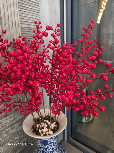 Только что представленный Samsung Galaxy S26 Ultra сравнили по камере с iPhone 17 Pro Max, Galaxy S25 Ultra и Vivo X300 Pro - 9 Только что представленный Samsung Galaxy S26 Ultra сравнили по камере с iPhone 17 Pro Max, Galaxy S25 Ultra и Vivo X300 Pro