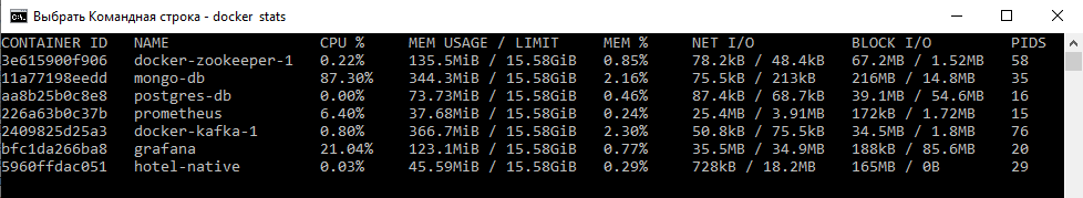 docker stats: hotel-native - NIK Image. Before stress tests