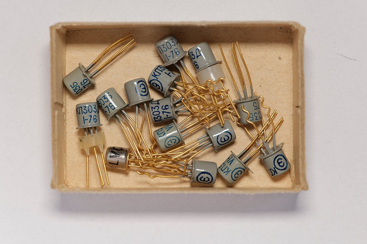 Фото: Frank Zörner, wikimedia