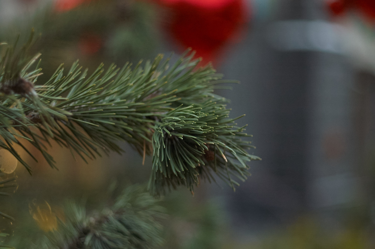 ISO 1000, 1/320s, Гелиос 81н f2