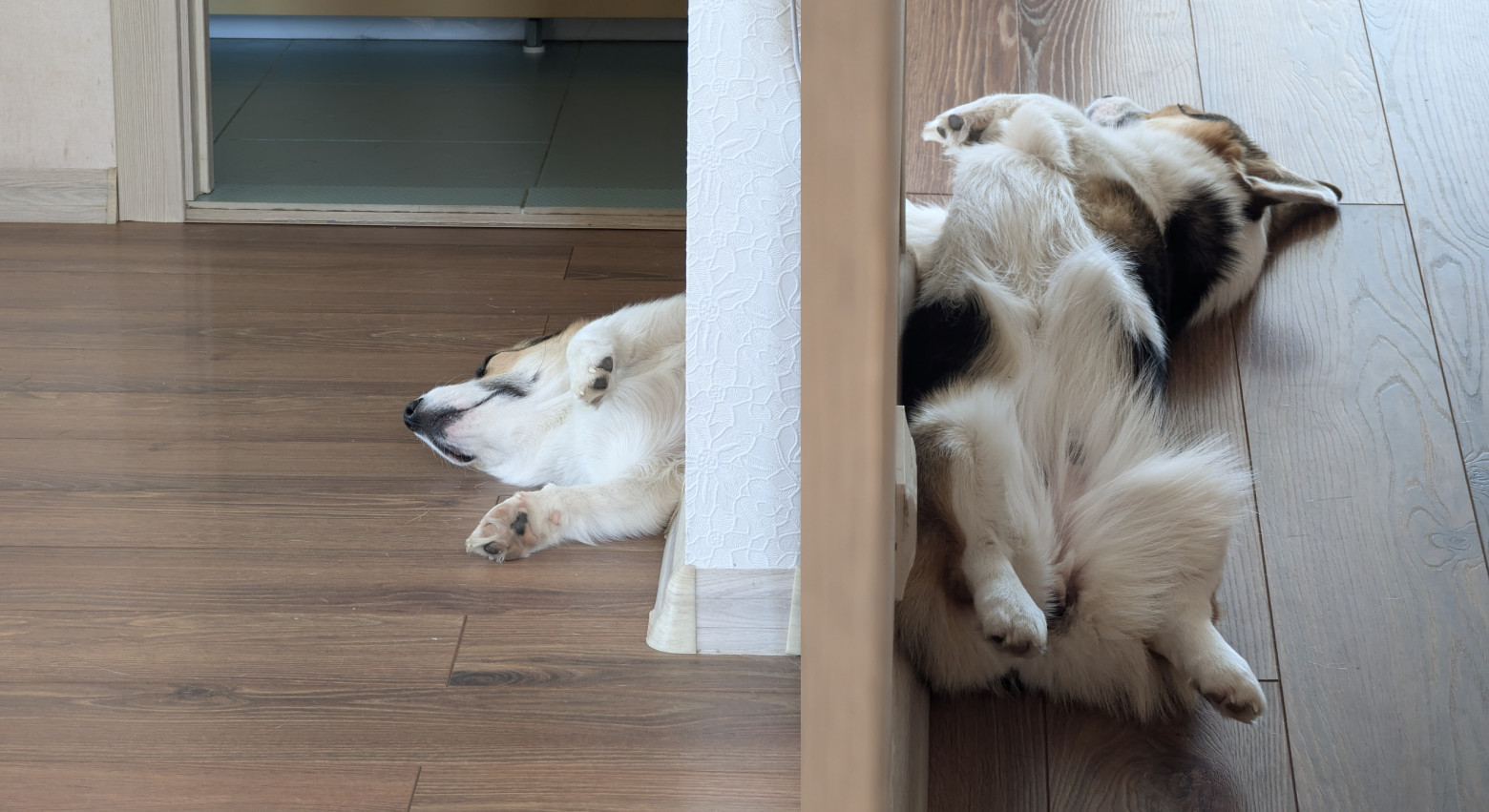 Cнижаем энергопотребление видеосервера на Linux с помощью измерителя тока - 5 Cнижаем энергопотребление видеосервера на Linux с помощью измерителя тока - 5