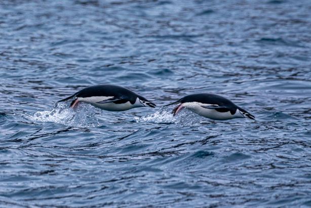 Как мы отправили сисадмина поставить сервер в Антарктиде - 5