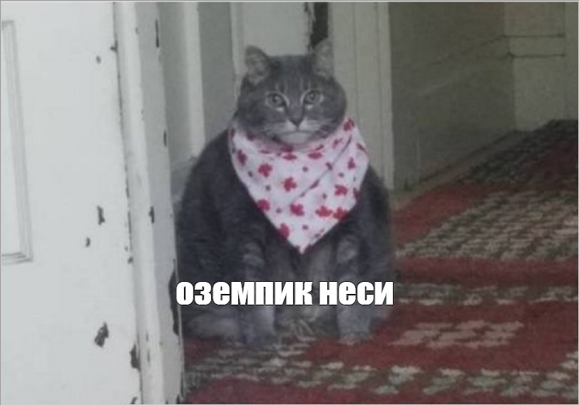 Как я худела на отечественном аналоге «Оземпика»: предрассудки, побочки и результаты - 1 Как я худела на отечественном аналоге «Оземпика»: предрассудки, побочки и результаты - 1