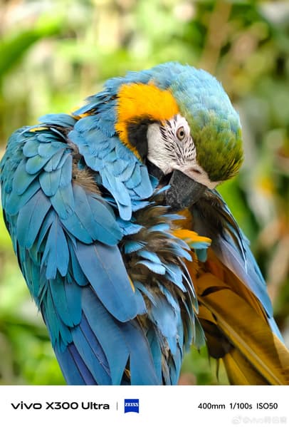 «Божественный инструмент для наблюдения за птицами». Vivo заявляет, что X300 Ultra открывает новые возможности без необходимости таскать с собой тяжелое оборудование - 3