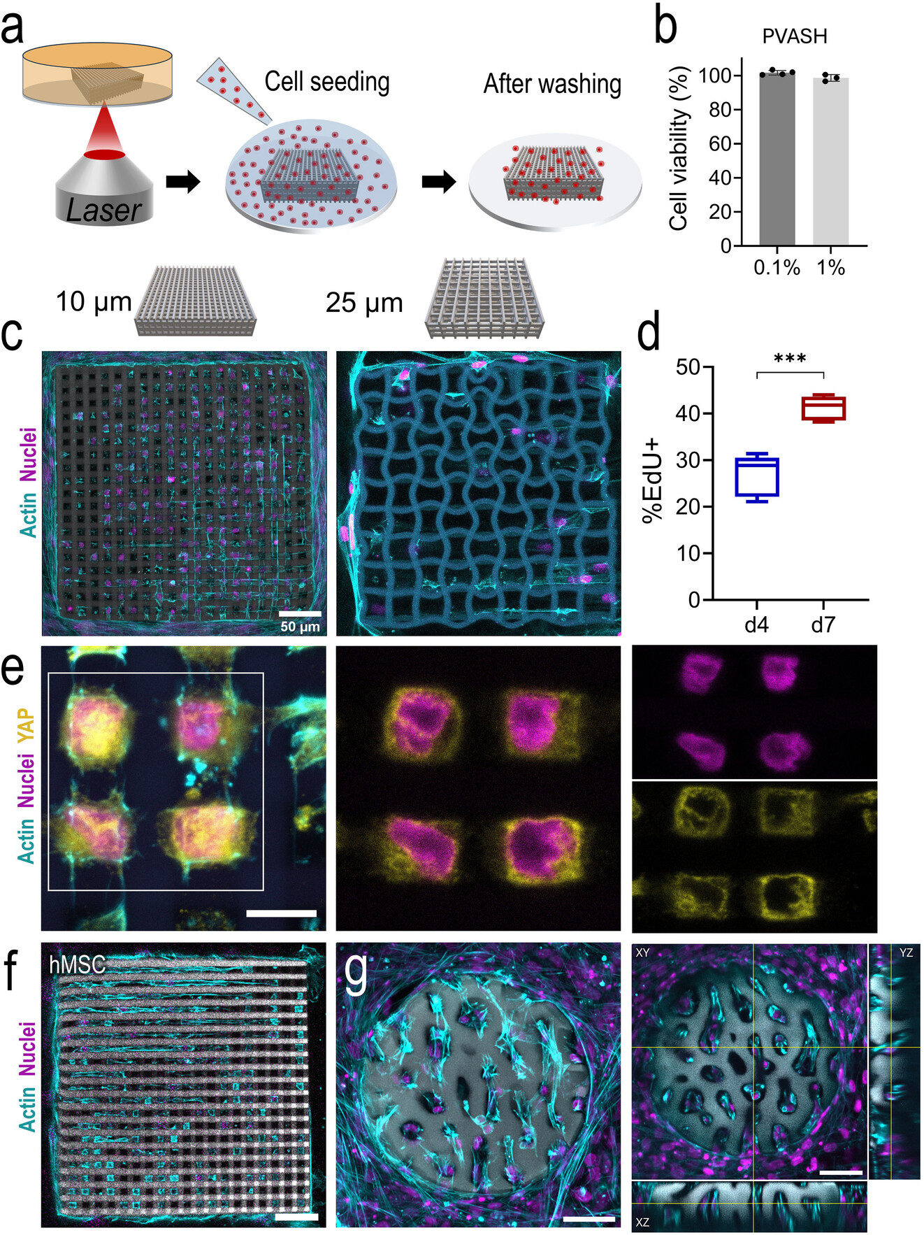 Лечение переломов: 3D-печать гидрогелевого импланта - 8