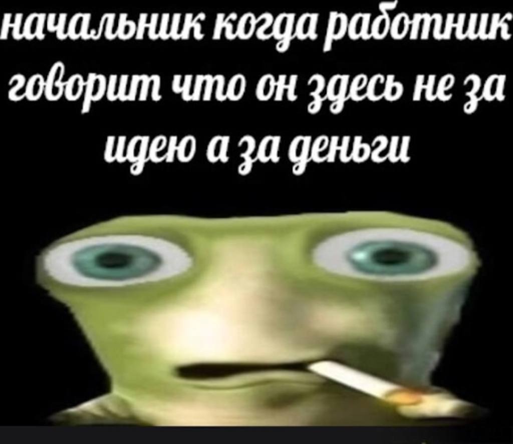 Два студента взяли $10к с кредитки, назвали продукт ASS и случайно создали лучшую экосистему для разработчиков - 4 Два студента взяли $10к с кредитки, назвали продукт ASS и случайно создали лучшую экосистему для разработчиков - 4