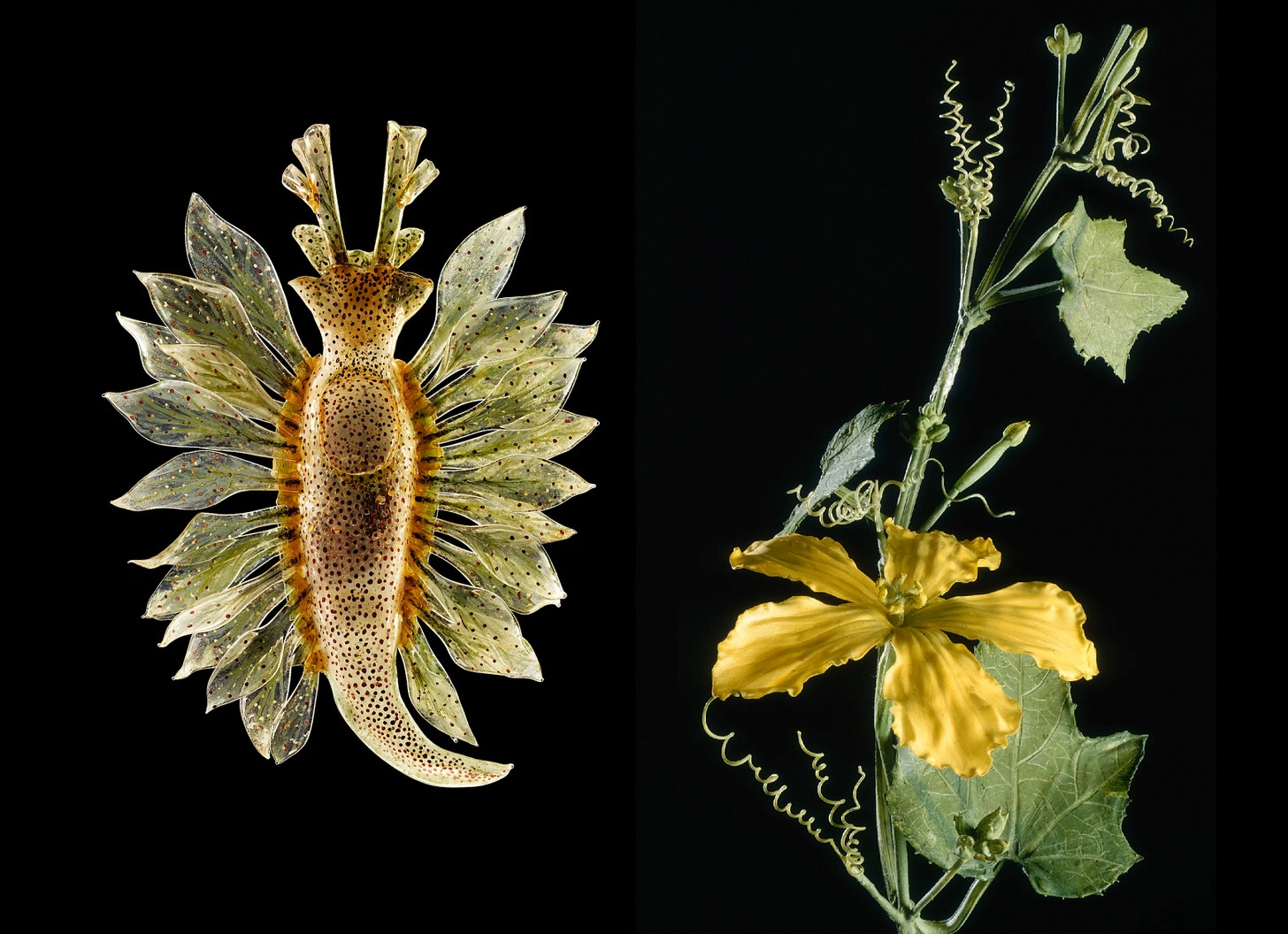 Конвейер деторождения, мозг мыши за штурвалом и другие новости с переднего края биотеха - 4