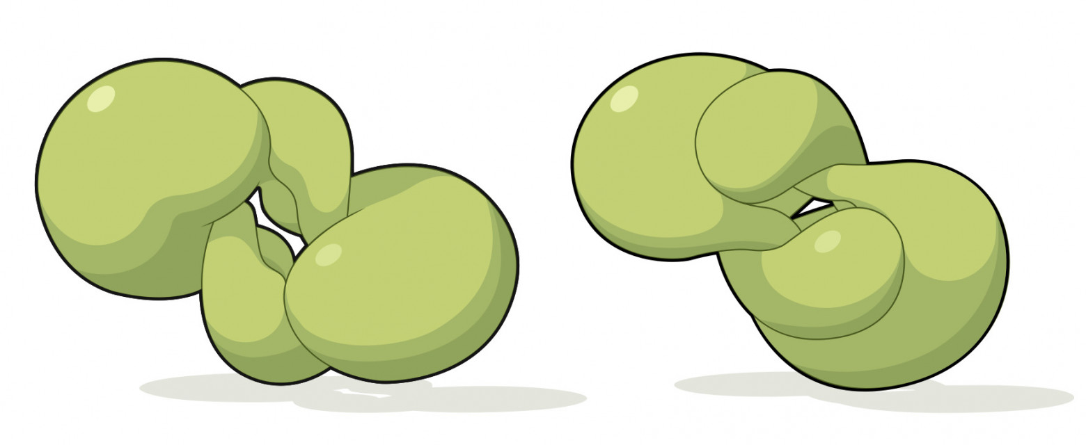 Их финальная компактная пара Бонне. 