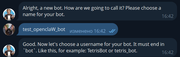 OpenClaw: установка и первые впечатления - 21