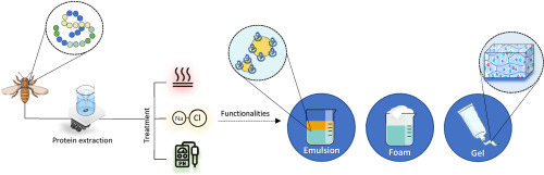Источник: https://www.cell.com/heliyon/fulltext/S2405-8440%2823%2902038-8 