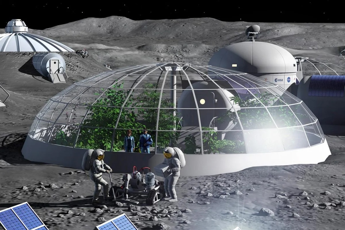 Лунный нут: модификация лунного реголита для выращивания растений - 1 Лунный нут: модификация лунного реголита для выращивания растений - 1