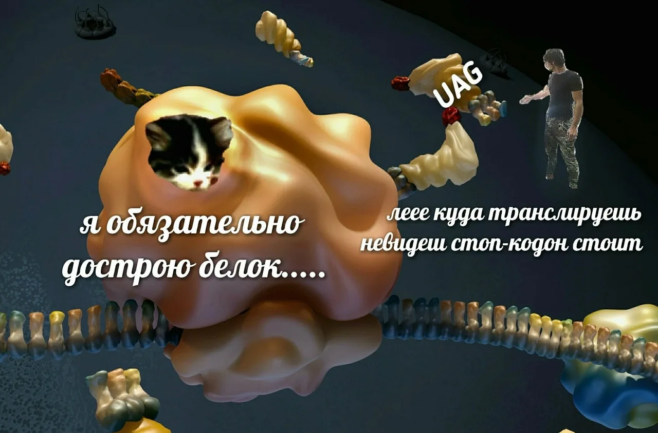 Рибосома - главный конструктор клетки