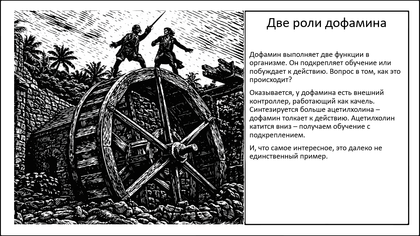 Ацетилхолин определяет роль дофамина - 1