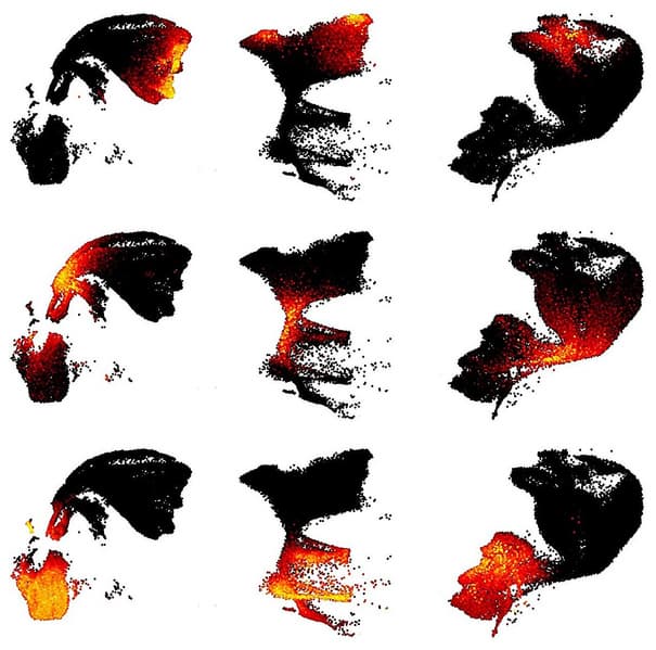 Создан самый подробный молекулярный атлас коры мозга человека - 1