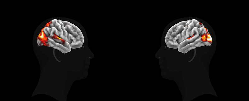 Meta* представили TRIBE v2 — модель, предсказывающую активность мозга по видео, аудио и тексту - 1