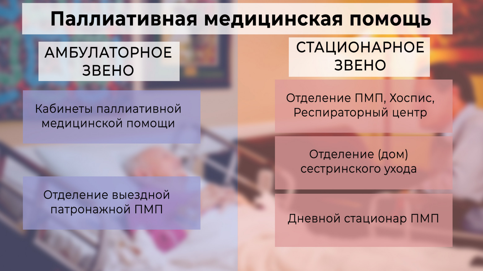 Структура ПМП для взрослых, согласно приказу