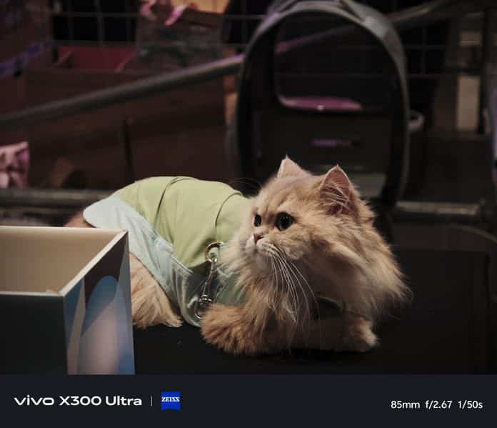 Как снимает фотофлагман Vivo X300 Ultra, показали на реальных, нерекламных примерах - 2