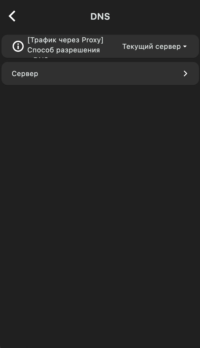 DNS настройки