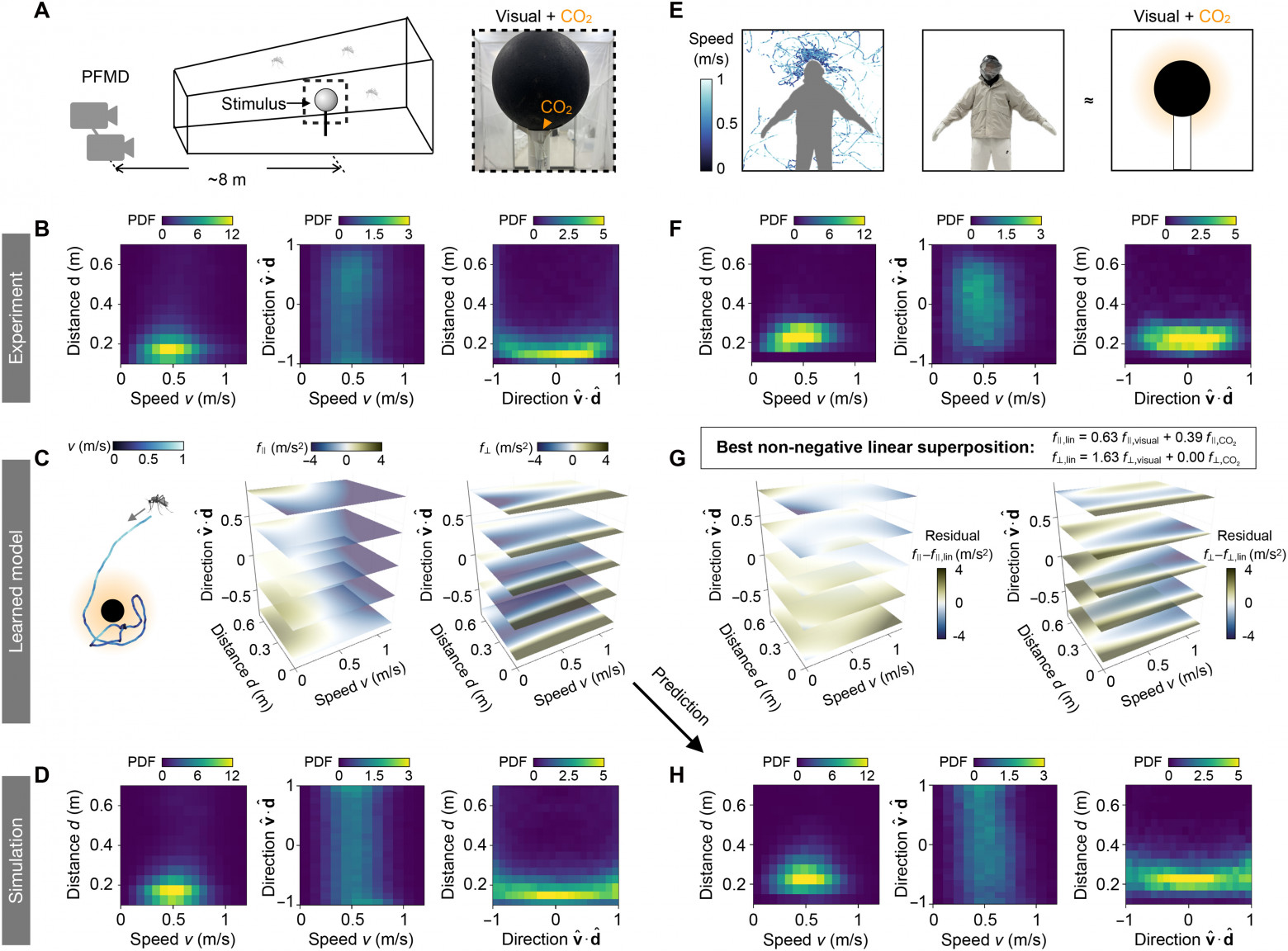 Математическая модель полета комаров - 8