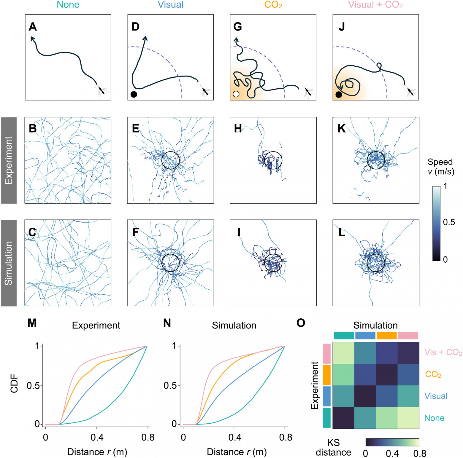 Математическая модель полета комаров - 9