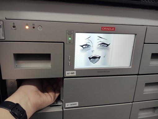 Ленточная библиотека SL150 не должна была существовать - 7