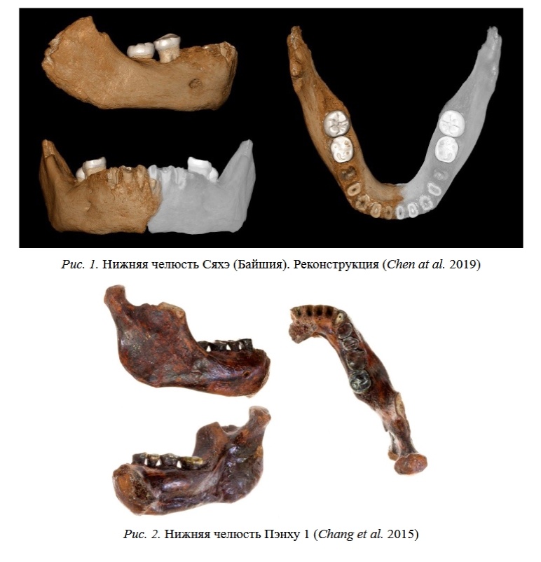 Внешность древнего вида Человека, 1 600 000 — 1 500 000 лет назад - 16