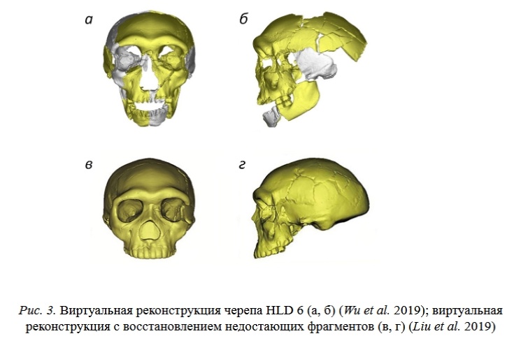 Внешность древнего вида Человека, 1 600 000 — 1 500 000 лет назад - 18