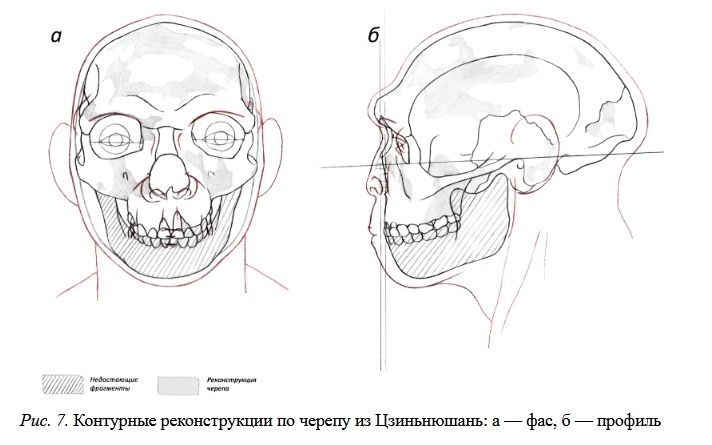 Внешность древнего вида Человека, 1 600 000 — 1 500 000 лет назад - 22