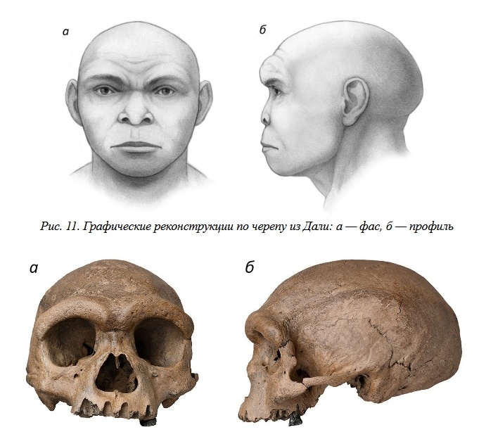 Внешность древнего вида Человека, 1 600 000 — 1 500 000 лет назад - 25