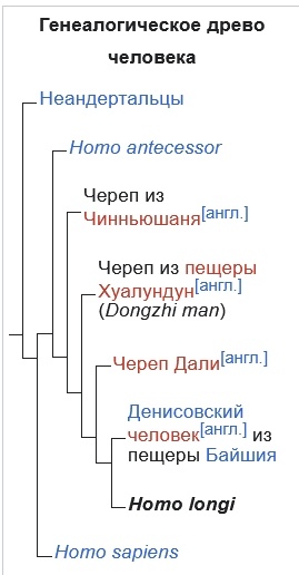 Внешность древнего вида Человека, 1 600 000 — 1 500 000 лет назад - 26