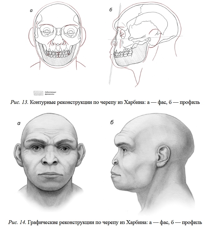 Внешность древнего вида Человека, 1 600 000 — 1 500 000 лет назад - 27
