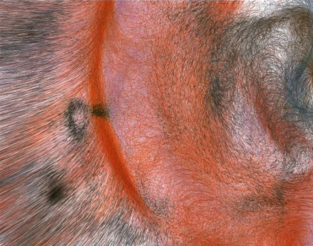 Кейси Рис, MicroImage A-00, 2002, copyright Casey Reas. 