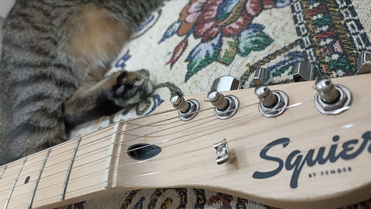 Собираем стратокастер из деталей с Aliexpress - 11