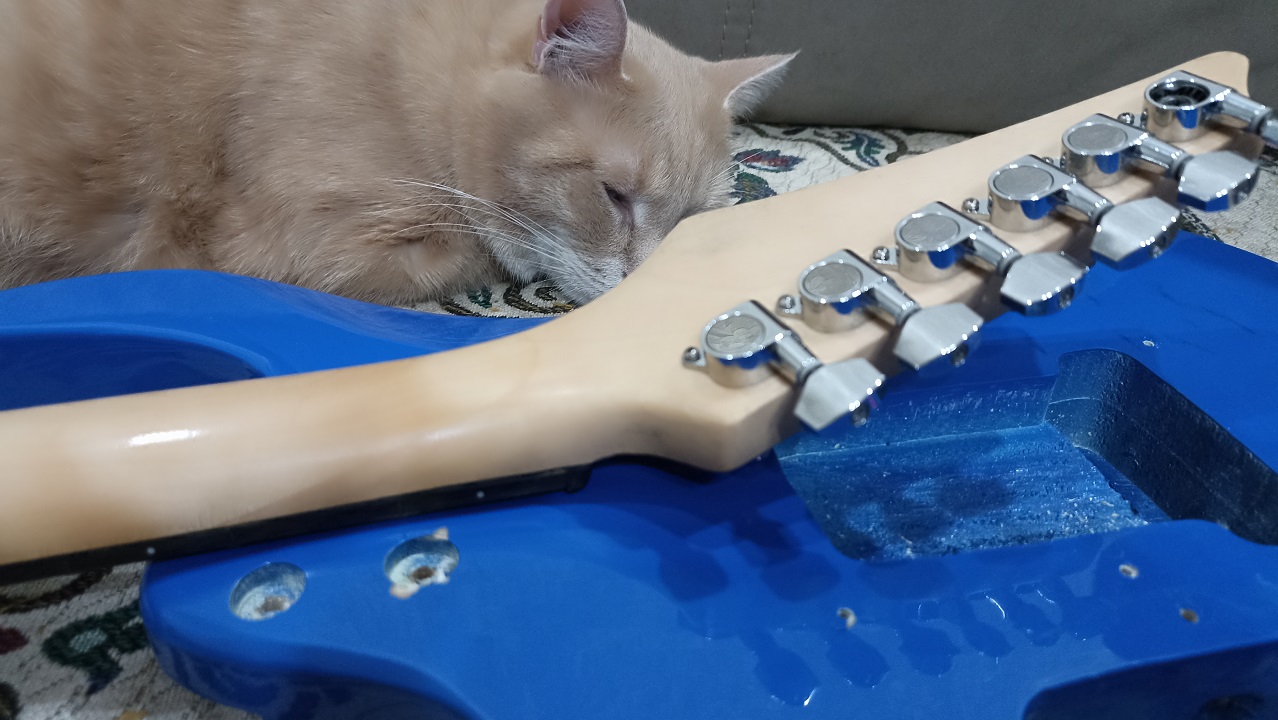 Собираем стратокастер из деталей с Aliexpress - 12