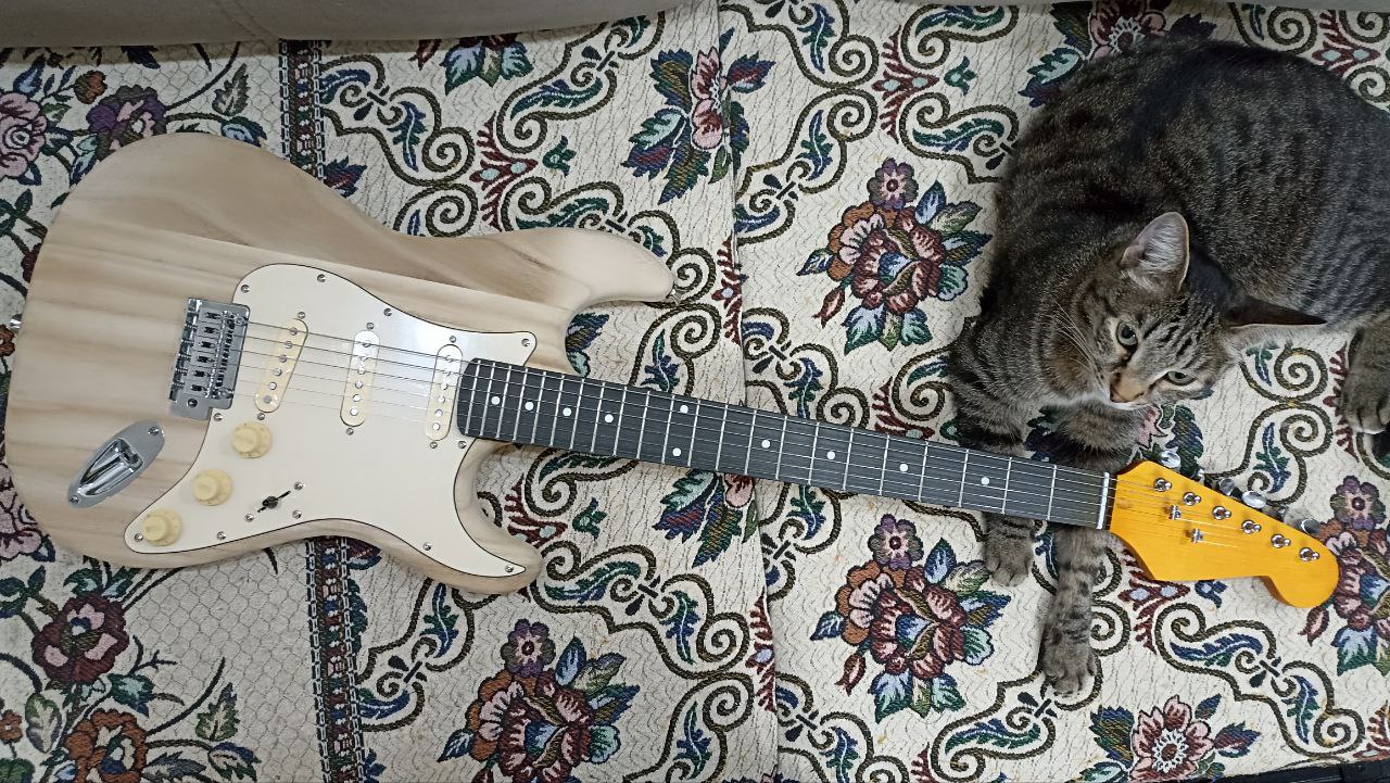 Собираем стратокастер из деталей с Aliexpress - 2