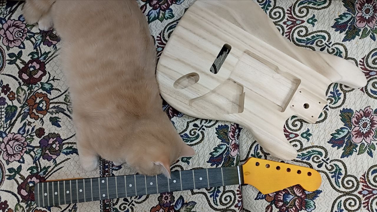 Собираем стратокастер из деталей с Aliexpress - 3