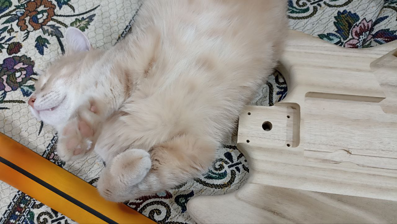 Собираем стратокастер из деталей с Aliexpress - 33