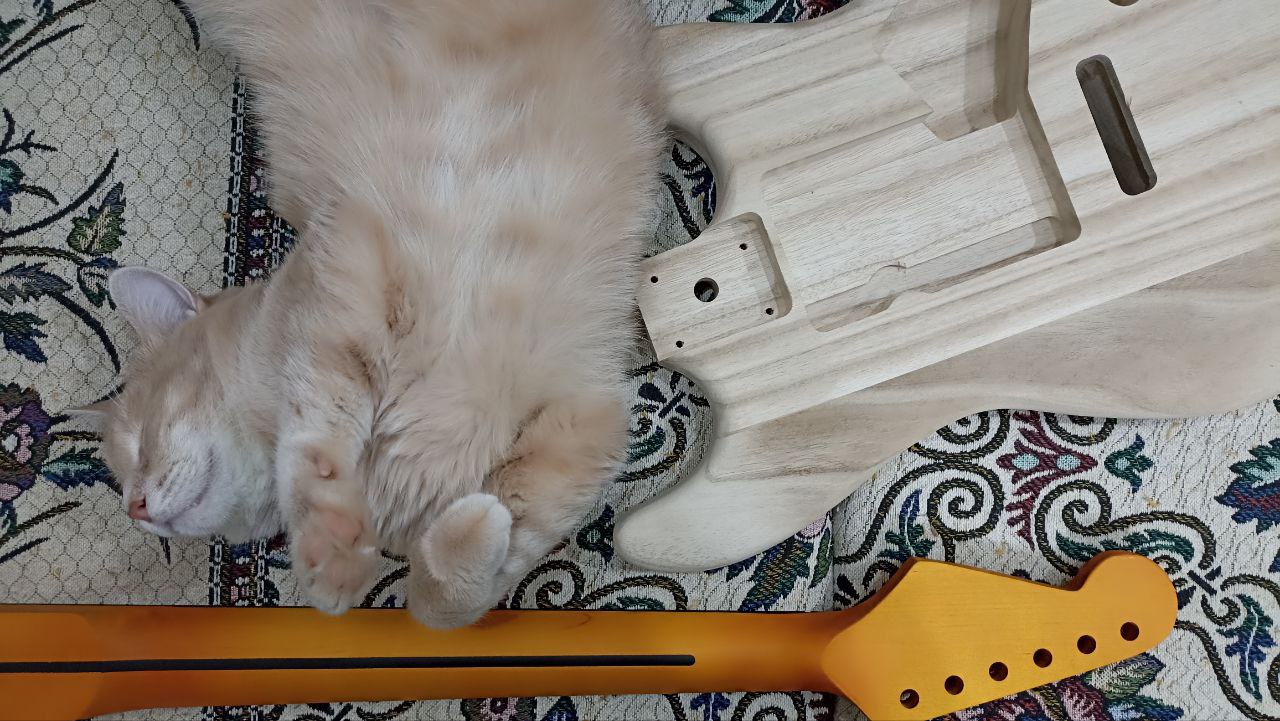 Собираем стратокастер из деталей с Aliexpress - 4