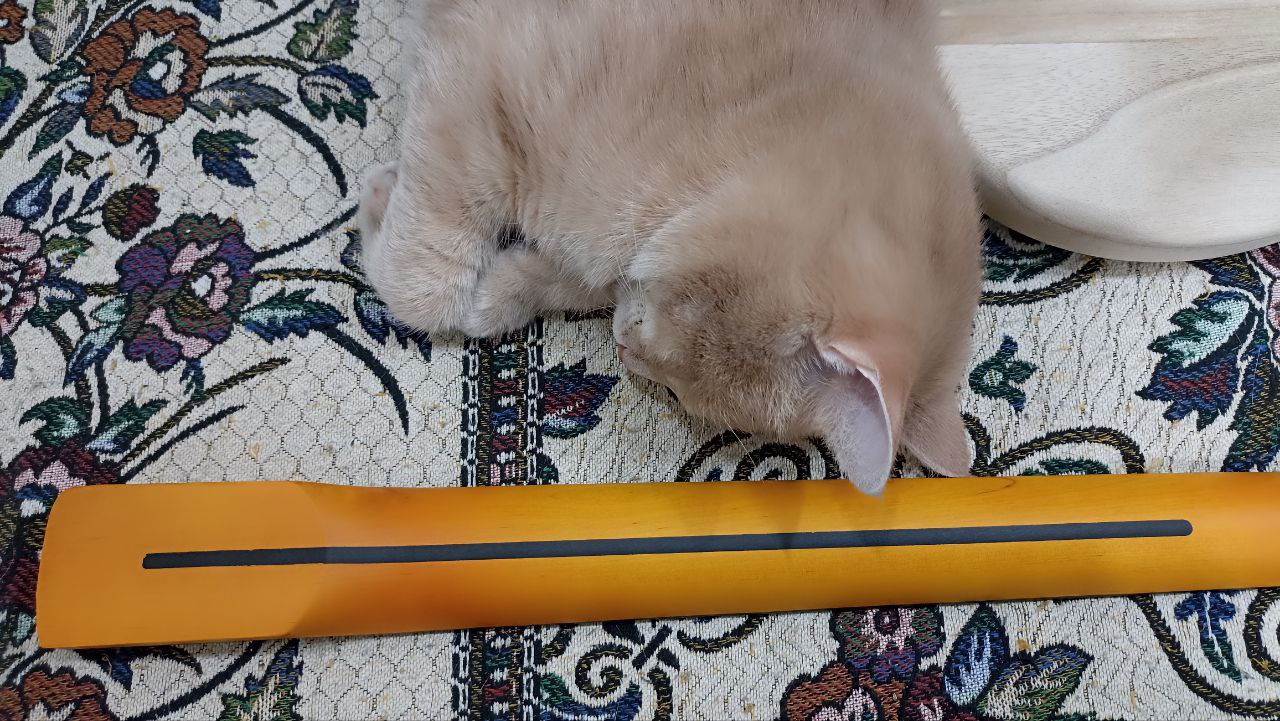 Собираем стратокастер из деталей с Aliexpress - 5