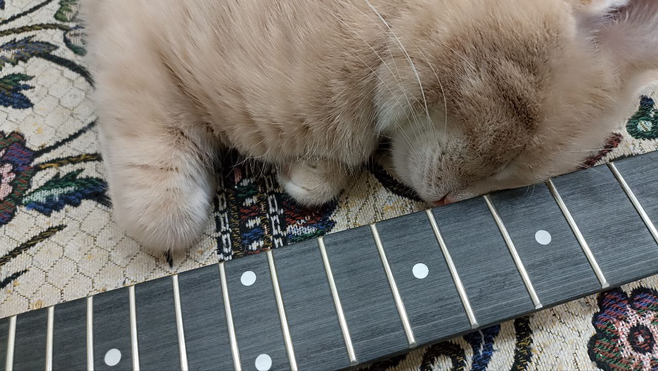 Собираем стратокастер из деталей с Aliexpress - 6