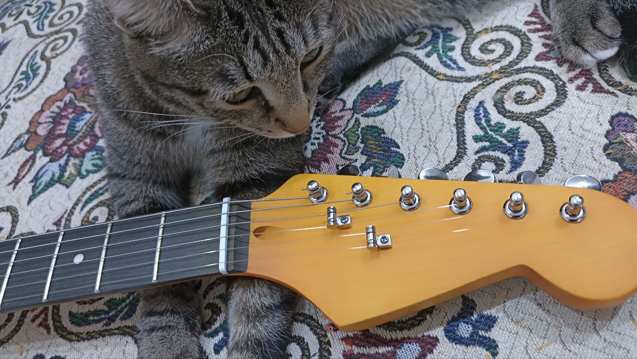 Собираем стратокастер из деталей с Aliexpress - 62