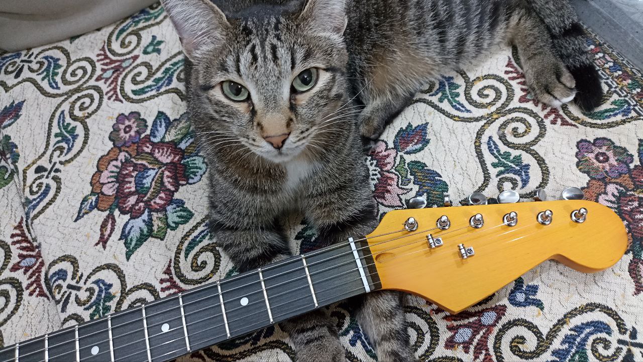 Собираем стратокастер из деталей с Aliexpress - 64