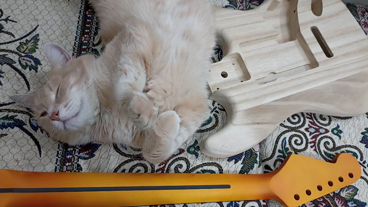 Собираем стратокастер из деталей с Aliexpress - 1