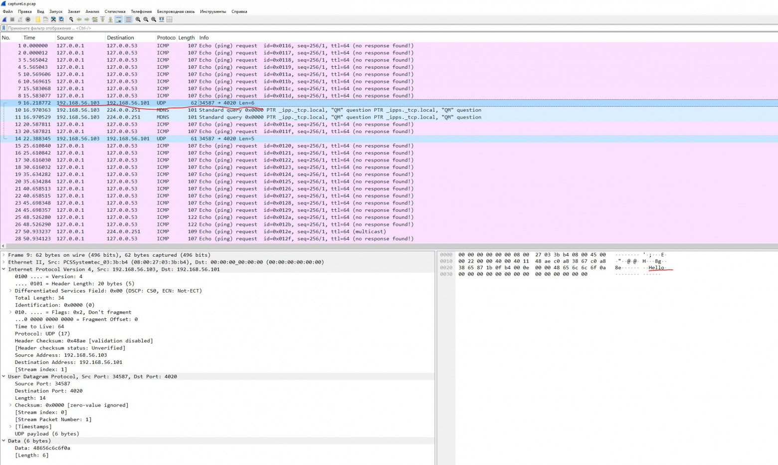 udp1