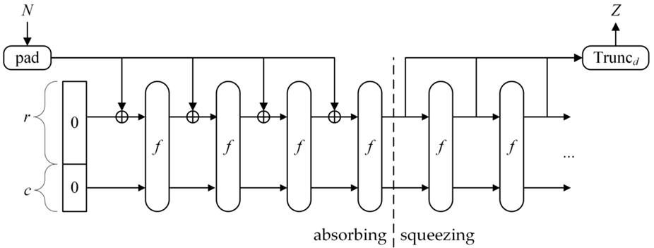 Схема губчатой функции