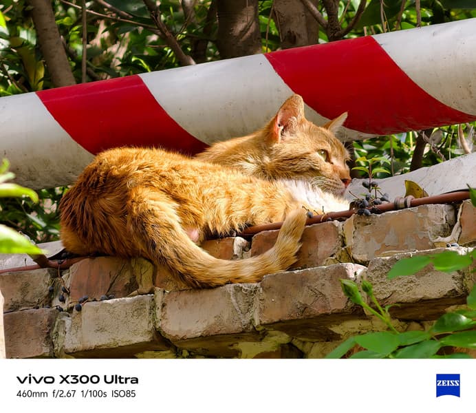 Долгожданная битва: камеры Xiaomi 17 Ultra, Oppo Find X9 Ultra и Vivo X300 Ultra сравнили между собой - 3